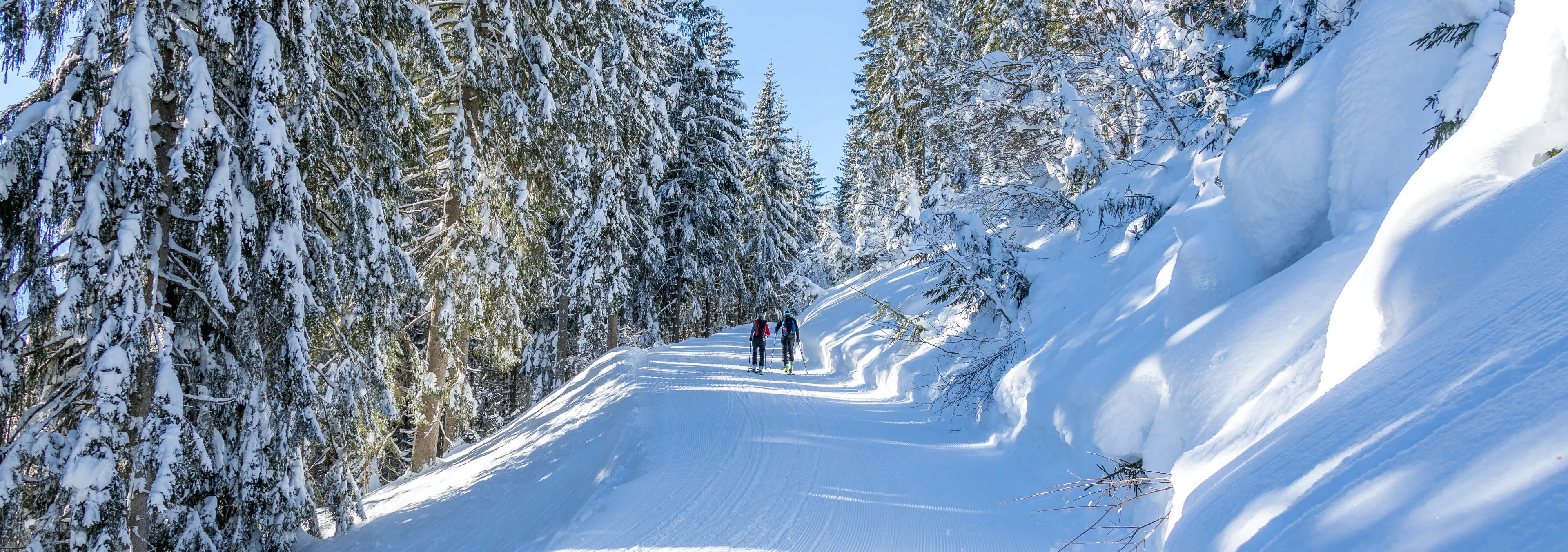 Zwei Personen wandern auf einem verschneiten Weg in den Mittersillplus-Wäldern.